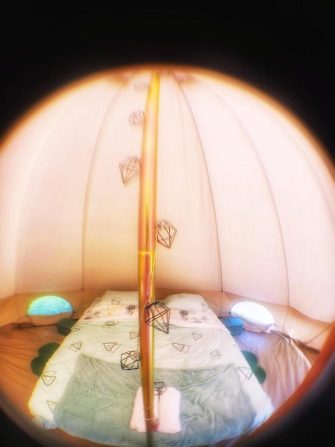 Luna Rock Glamping Brezoi - Blue Scai Eksteriør billede
