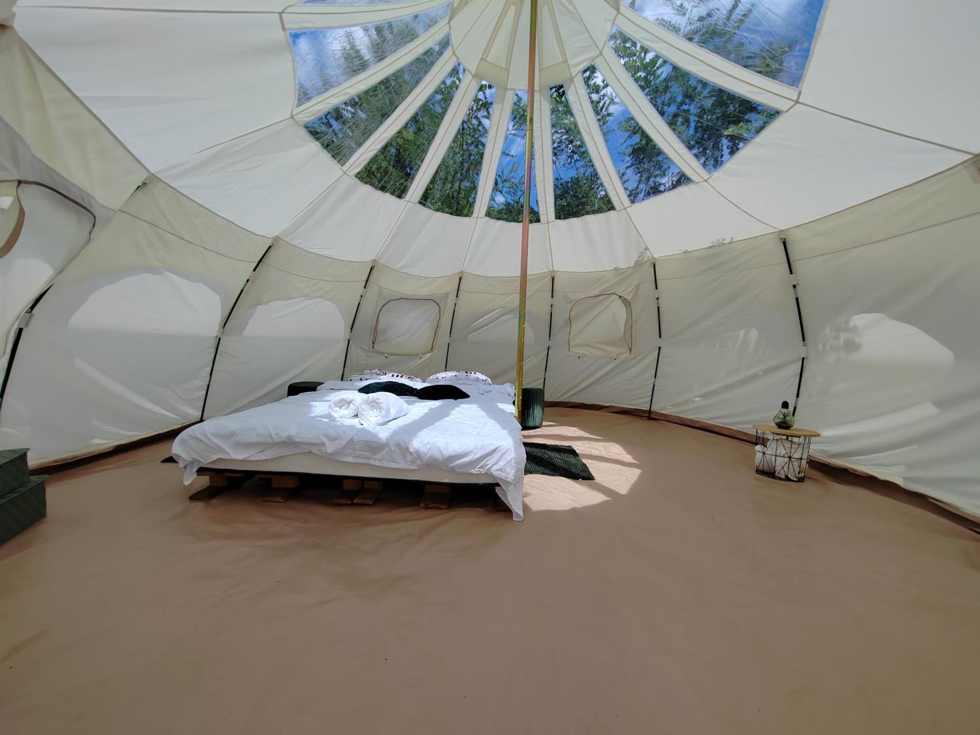 Luna Rock Glamping Brezoi - Blue Scai Eksteriør billede